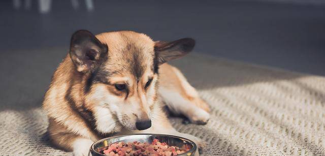 临消费冷淡难改5大赛道悄悄赚翻天AG真人试玩平台中国低欲望时代降(图5)